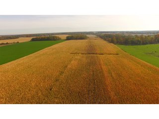 Property photo 27 - MAJOR LAND AUCTION - 315+/- ACRES IN 16 TRACTS - 6 PROPERTIES IN WHITLEY & ALLEN COUNTIES, INDIANA